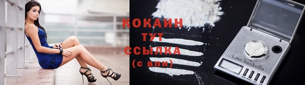 прущая мука Богородицк