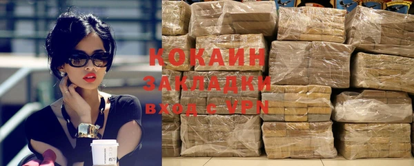 шишки Верхний Тагил