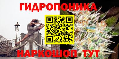 прущие крисы Волгодонск