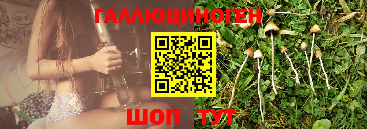 Псилоцибиновые грибы MAGIC MUSHROOMS  Воскресенск  Псилоцибиновые грибы прущие грибы 