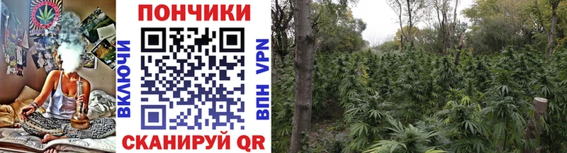сколько стоит  блэк спрут рабочий сайт  Конопля план  Воскресенск 